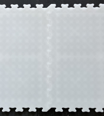 Self Lubricating Ice Skating Floor Tiles Interlocking Sport Floor Tiles